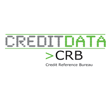 Credit Bureau Reporting Platform
